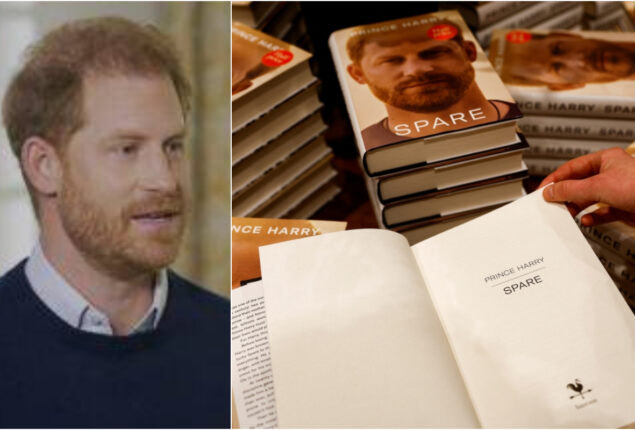 Prince Harry discusses his beard in his memoir Spare