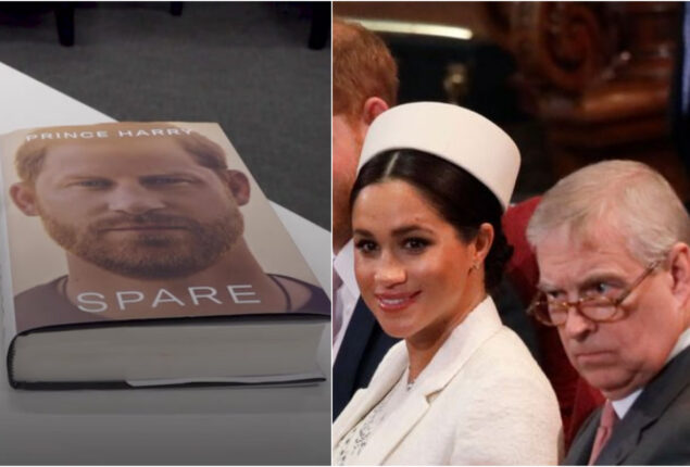 Harry revealed Meghan Markle’s ultimate Prince Andrew snub when she first met the Queen