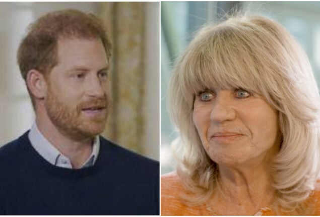 Prince Harry ‘blames others for everything that goes wrong’