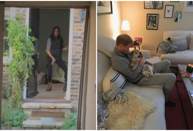 Prince Harry ‘ embarrassed’ to show Meghan his Windsor cottage