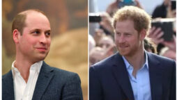 Prince Harry ‘worth his organs’ in the case of Prince William: Spare