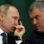 Vyachlesav Volodin says expat war critics should lose homes