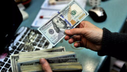 Remittances plunge 19% in December
