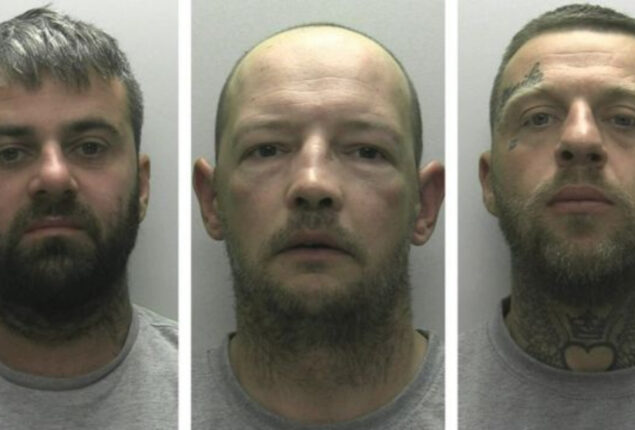 Three gang members jailed for killing rival in Plymouth