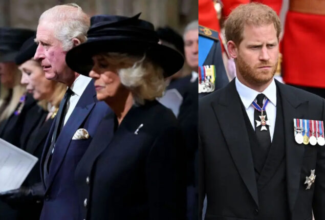 Prince Harry chastised for making ‘ludicrous’ claims about Royal Family