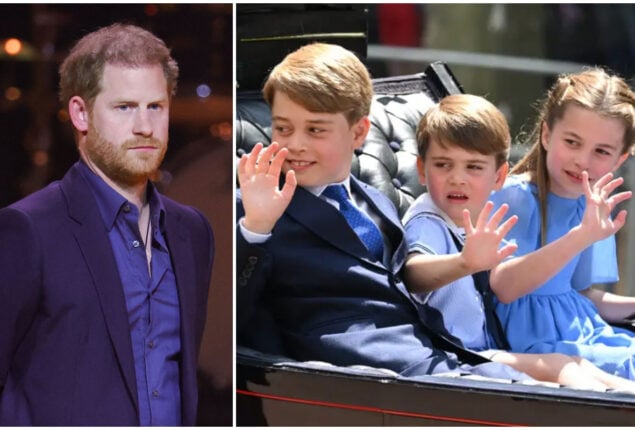 Prince Harry worries for Prince William children