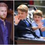 Prince Harry worries for Prince William children