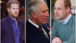 Prince Harry has ‘secret technique’ for regaining King Charles and William’s trust