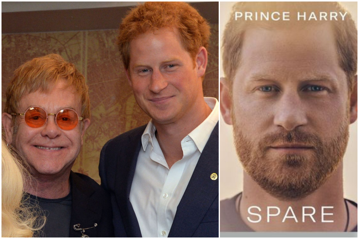 Prince Harry Spare audiobook