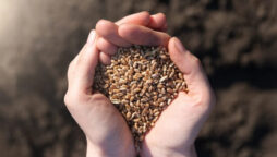 IPRI, IRS organise webinar on ‘Population and Food Security’