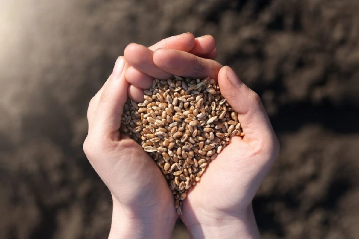 IPRI, IRS organise webinar on ‘Population and Food Security’