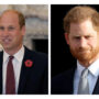 Prince William needs “apologies” from Prince Harry