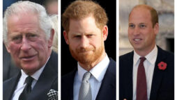 King Charles, Prince Harry & Prince William