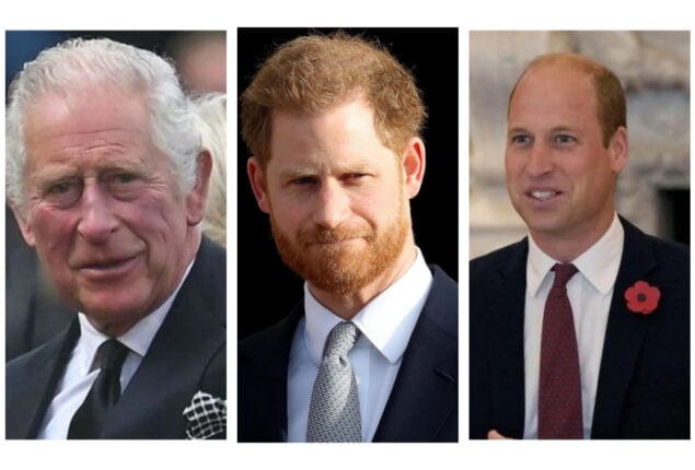 King Charles accused of not supporting Harry & William after passing of Diana