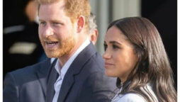 Prince Harry and Meghan Markle damaged their brand Archewell