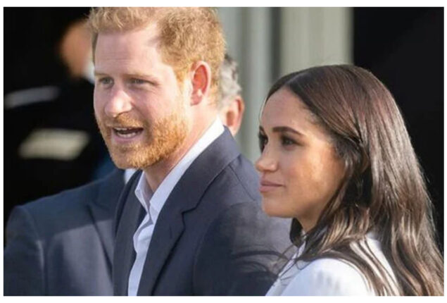 Prince Harry and Meghan Markle damaged their brand Archewell