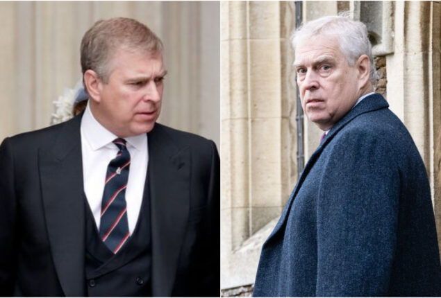 Prince Andrew desires to ‘test the waters’ on using his HRH title again