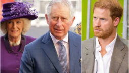 King Charles and Queen Consort Camilla could sue Prince Harry for defamation