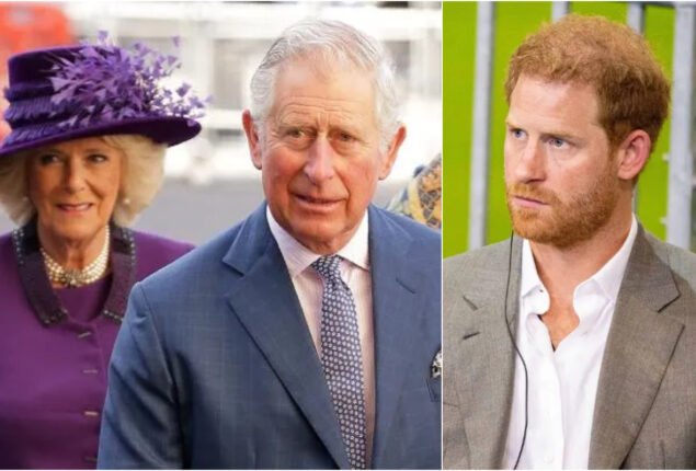 King Charles and Queen Consort Camilla could sue Prince Harry for defamation
