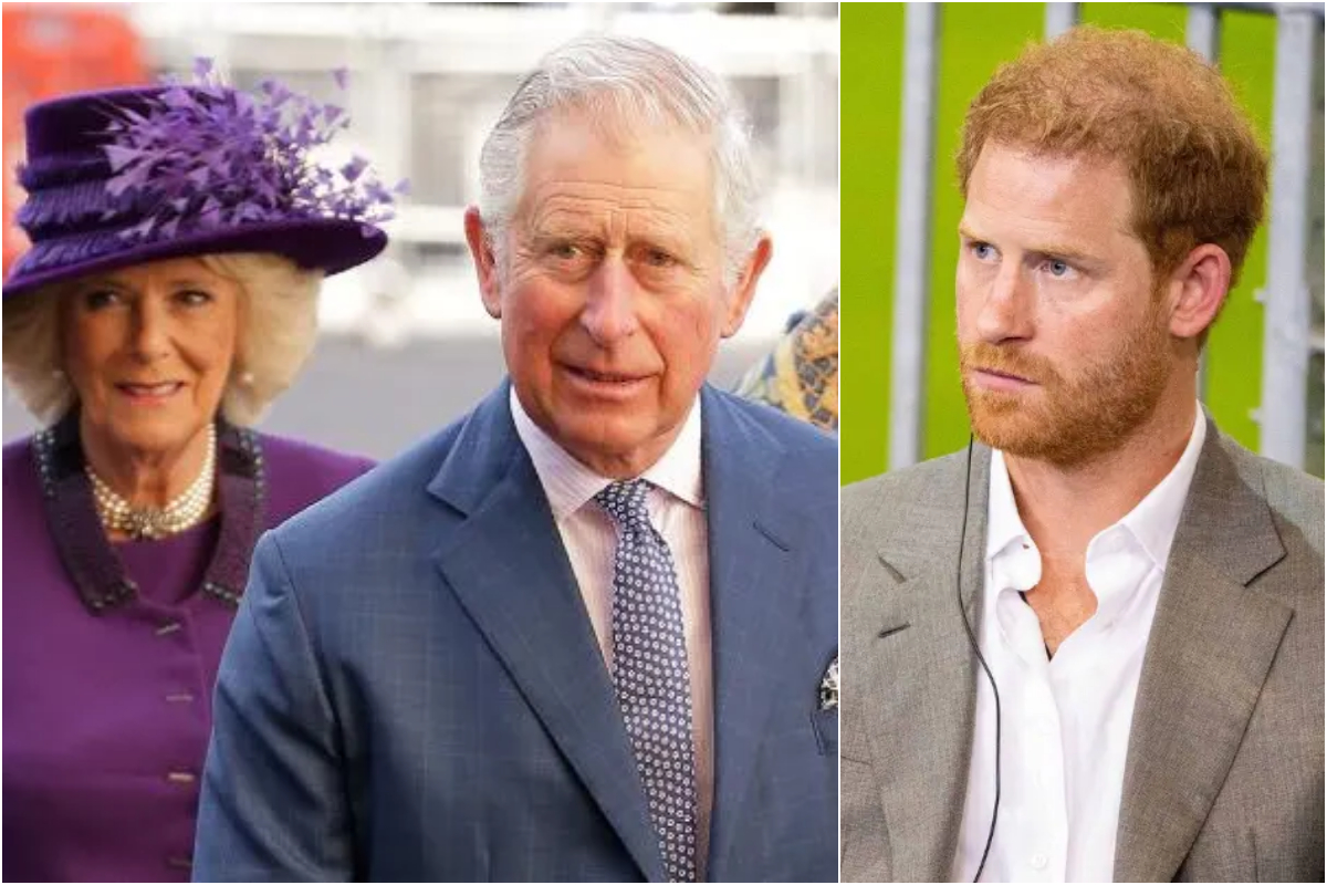 King Charles and Queen Consort