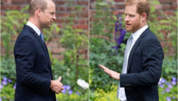 Prince William urges to keep Prince Harry accountable for his ‘vindictive actions’