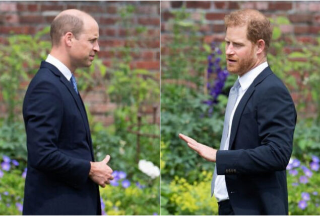 Prince William urges to keep Prince Harry accountable for his ‘vindictive actions’