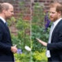 Expert says mending relations between Prince Harry and royals becomes ‘extremely difficult’