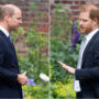 Prince William urges to keep Prince Harry accountable for his ‘vindictive actions’
