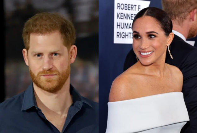 Prince Harry ‘roared’ at Meghan Markle’s royal Christmas present