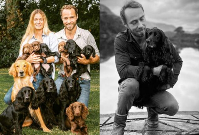 Kate Middleton’s brother heartbroken after the death of a beloved dog