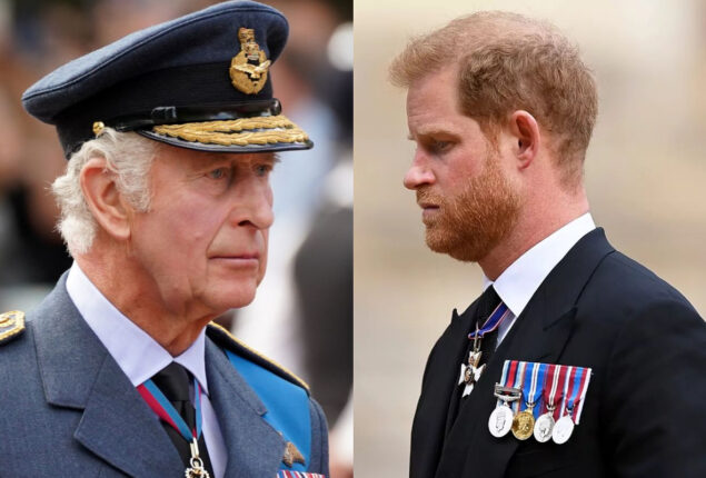 King Charles’ ‘army’ attempting to refute Prince Harry’s claims?