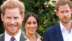 Prince Harry chastised for being desperate for ‘undiluted praise’