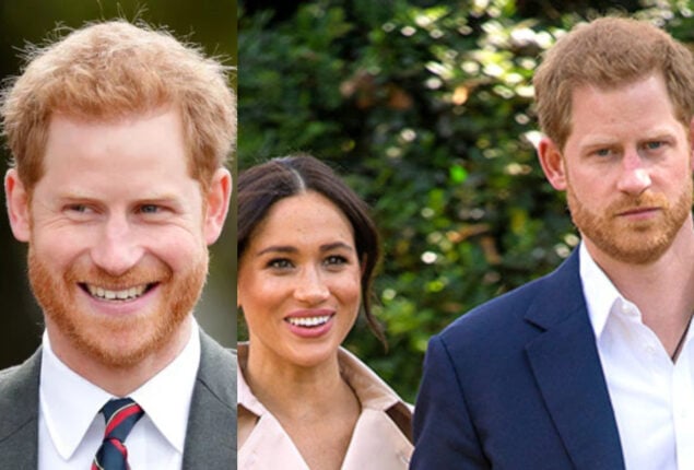Prince Harry chastised for being desperate for ‘undiluted praise’
