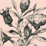 Optical Illusion: How many hidden faces can you spot in this Rose