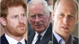 Prince William and King Charles ‘extremely angry’ with Prince Harry