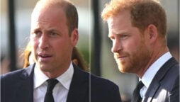 Prince Harry and Prince William’s ‘forced smiles’: Expert
