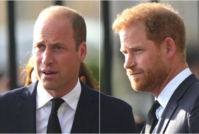 Prince Harry and Prince William’s ‘forced smiles’: Expert
