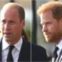Prince Harry and Prince William’s ‘forced smiles’: Expert