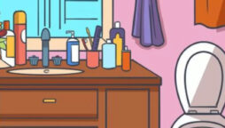 Optical Illusion: Can you spot Hat inside the Bathroom in 5 seconds