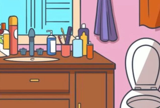 Optical Illusion: Can you spot Hat inside the Bathroom in 5 seconds