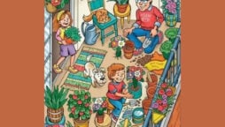 Optical Illusion: Can you spot the hidden ring in the image?