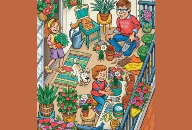 Optical Illusion: Can you spot the hidden ring in the image?