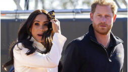 Royal expert claims Prince Harry controls not Meghan