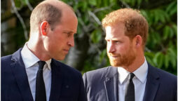 Prince William to ‘ultimately’ reach out to Prince Harry: Experts