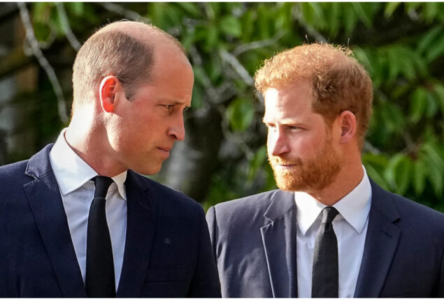 Prince William to ‘ultimately’ reach out to Prince Harry: Experts