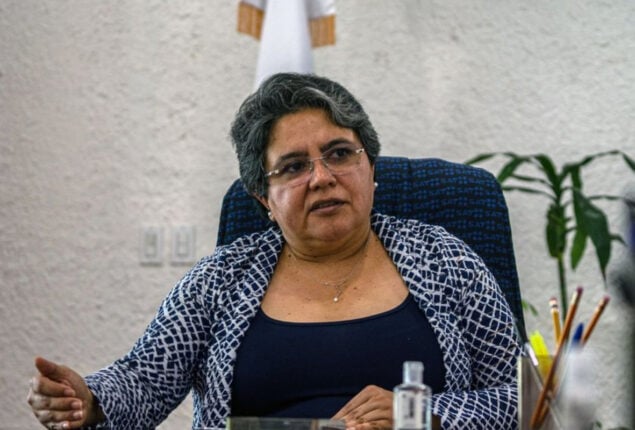 Mexican Ministry of Economy meet with Canadian companies in light of energy disputes