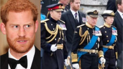 Prince Harry accused of betraying own Family: Expert