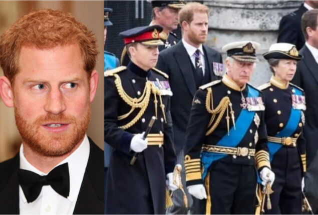 Prince Harry accused of betraying own Family: Expert