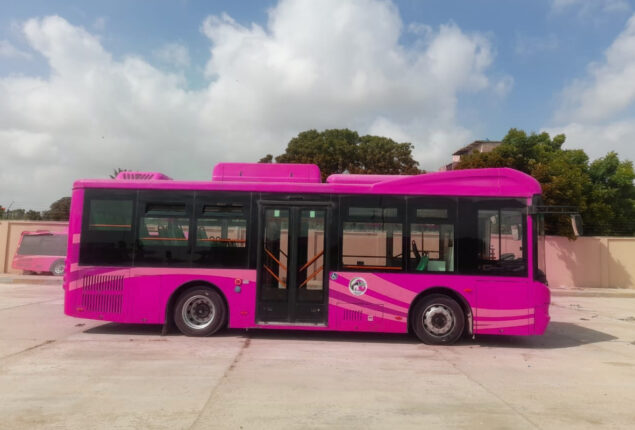 Sindh Govt decides to run Pink Bus service for women