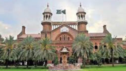 LHC extends protective bail of Shahbaz Gill till Feb 6